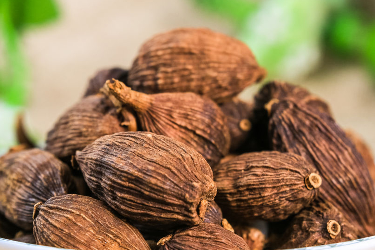 Vị thuốc từ thảo quả