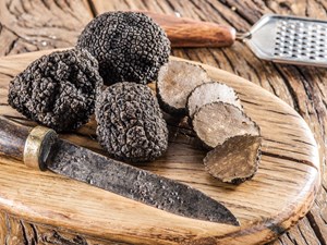 Truffle from A to Z: 26 Things to Know