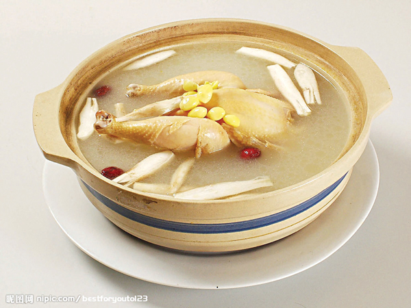 Gà mái càng già càng bổ