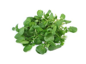 What Is Watercress?