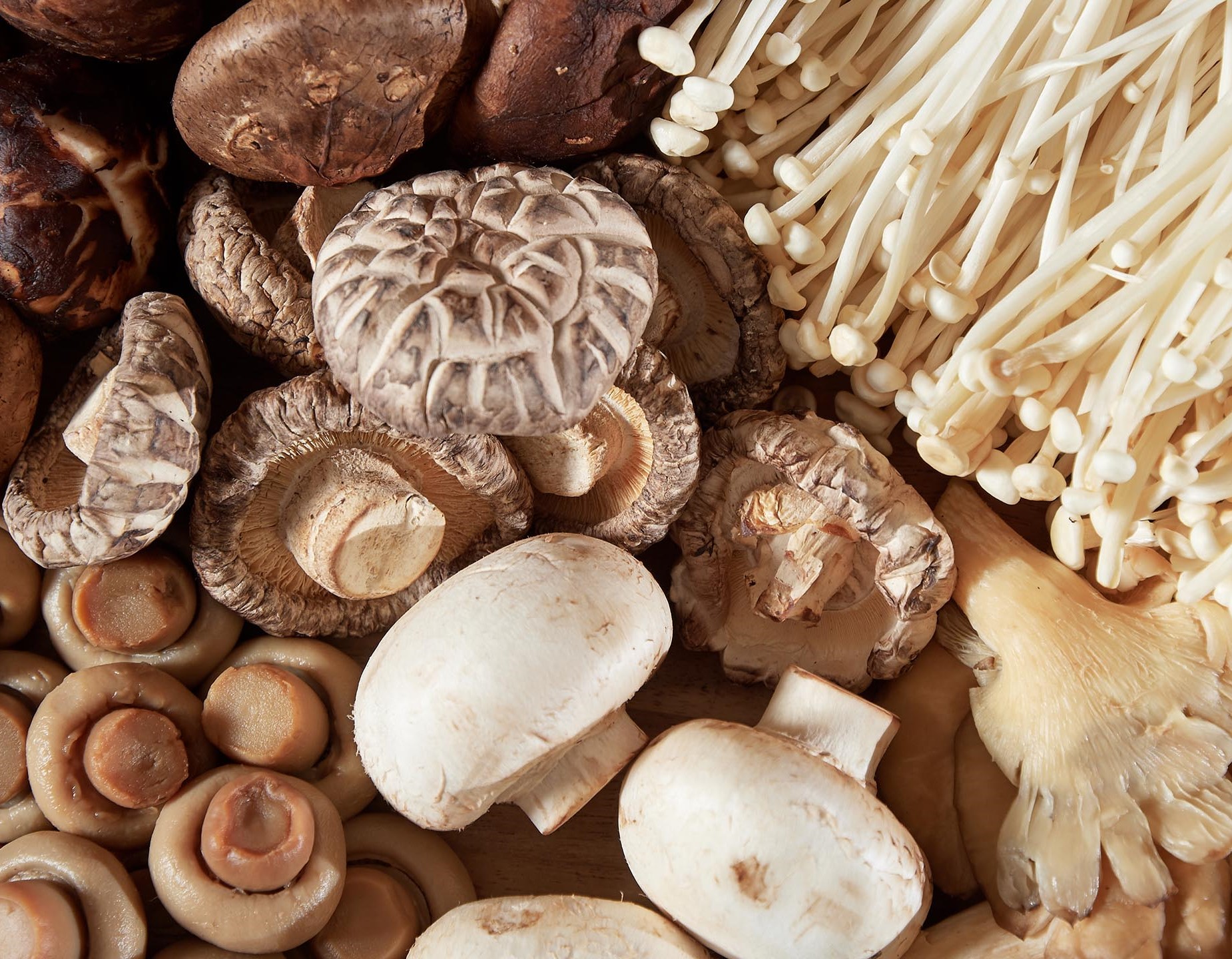 Nấm - một “thần dược” cho não bộ